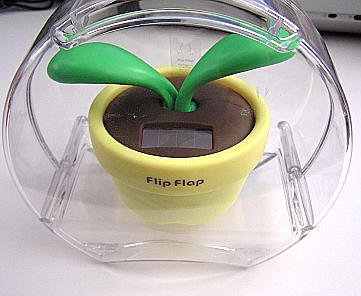 Flip store flap solar