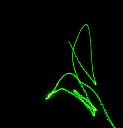 wickedlasers nexus 95mw 7