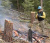 wildland firefighting small