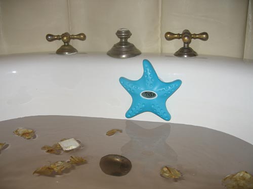 Showerpets Starfish Water And Temperature Monitor Review The Gadgeteer