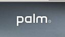 palm