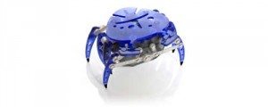 hexcrab