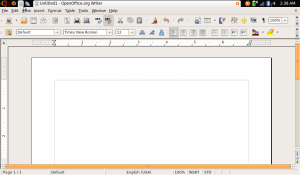 OpenOffice Writer on Ubuntu Netbook Remix