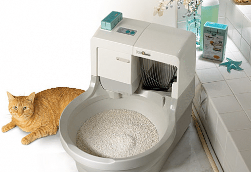 washing cat litter box