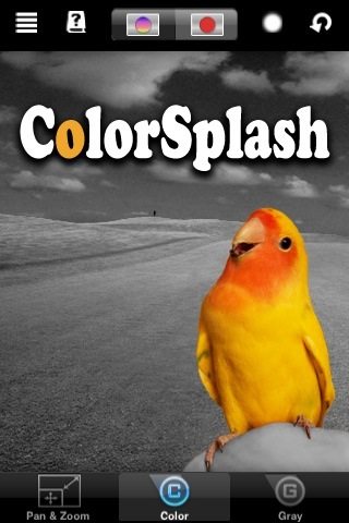 colorsplash-logo-1