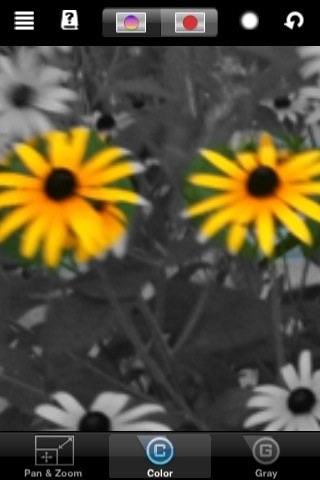 colorsplash-using1