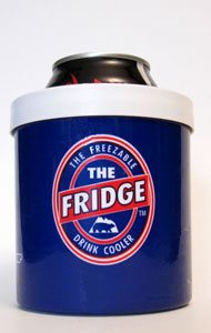 fridge fig1