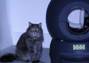 Hammy and Litter Robot1