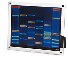 thinkgeek dna portrait