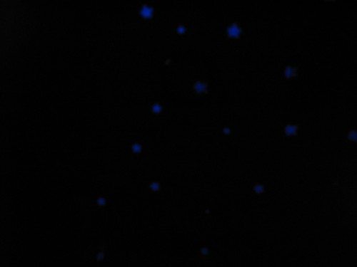 Kaison Galaxy Beetlestar Night Light Star Projector Review - The Gadgeteer