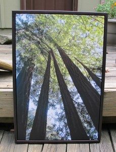 canvaspop 1