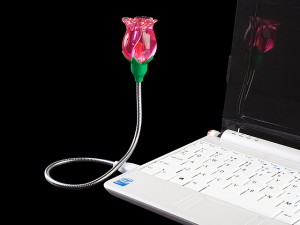 usb rose e1282564078784