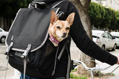 timbuk2 muttmover