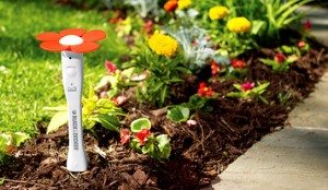 BlackDecker PlantSmart 544px