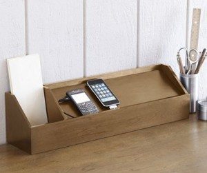 natural charles charging system