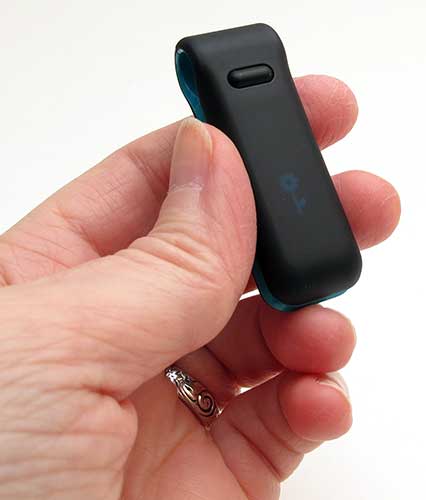 fitbit 15