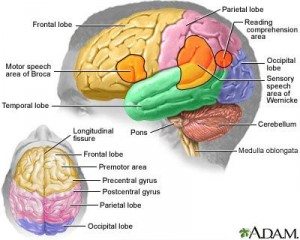 stroke recovery 1