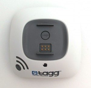 Tagg the Pet Tracker Review - The Gadgeteer