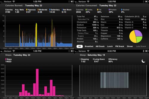 bodymedia fitlink iOS horiz