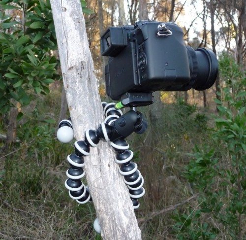 gorillapod1