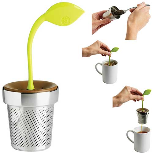 arta infuser