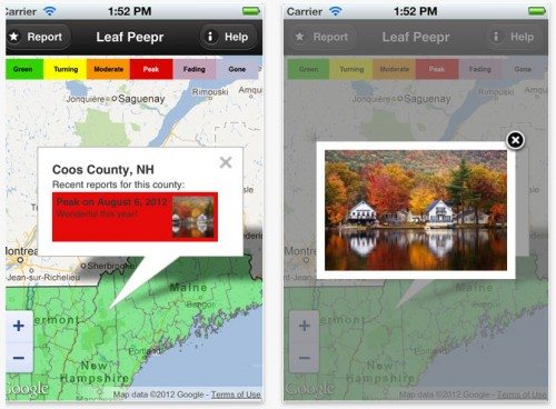 leaf peeper app