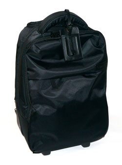 Lipault store backpack reviews