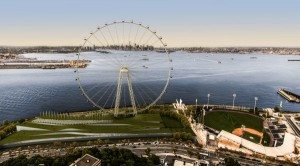 nyferrishwheel