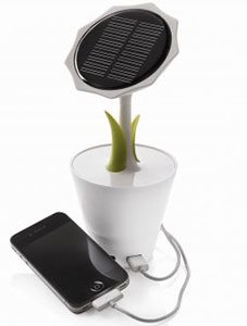 xd-design-solarsunflower