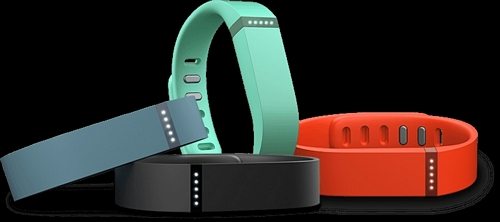 Fitbit Flex-1.jpg