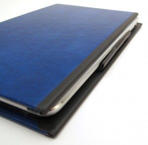 powis icase mini 10
