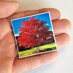 StickyGram Instagram Photo Magnets review