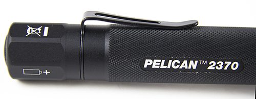 Pelican_6