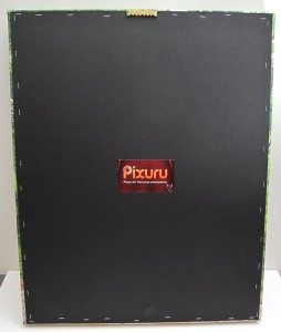 pixuru 8