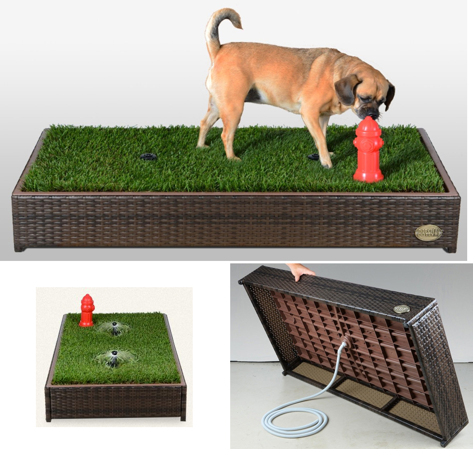 Automatic dog litter outlet box