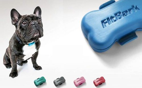 fitbark-activity-monitor