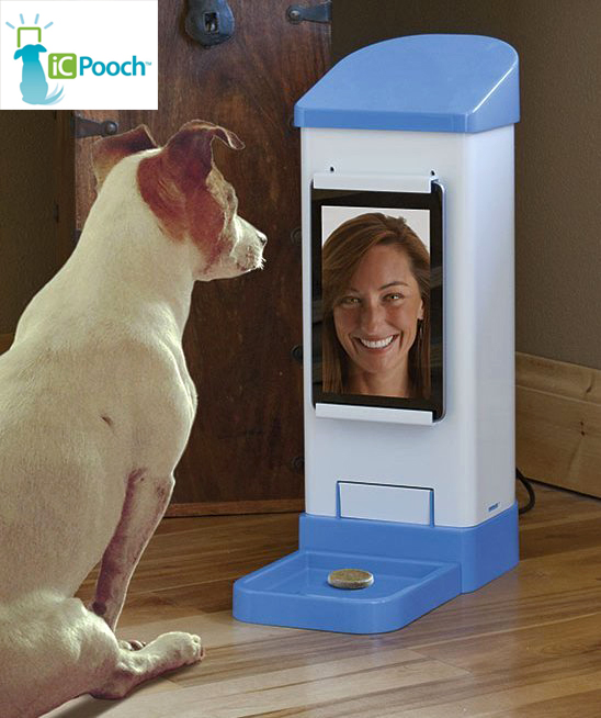 pet cam video treat