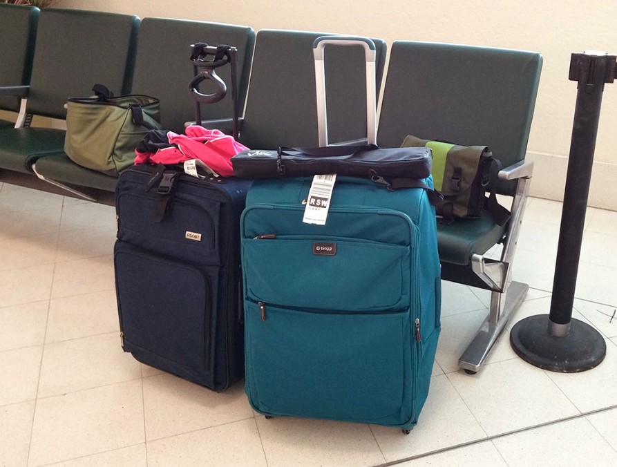 Biaggi Contempo 28" Expandable 4 Wheel Spinner Upright folding luggage