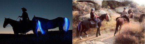 tail lights safety lights for horses