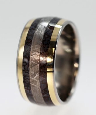 dinosaur bone meteorite ring