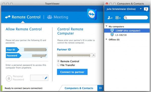 teamviewer1