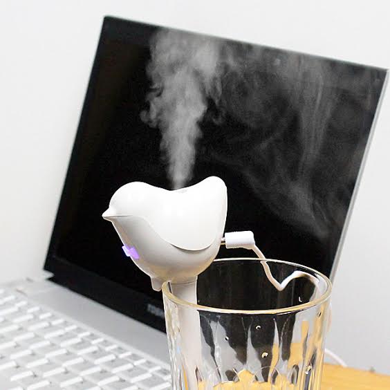 bird humidifier