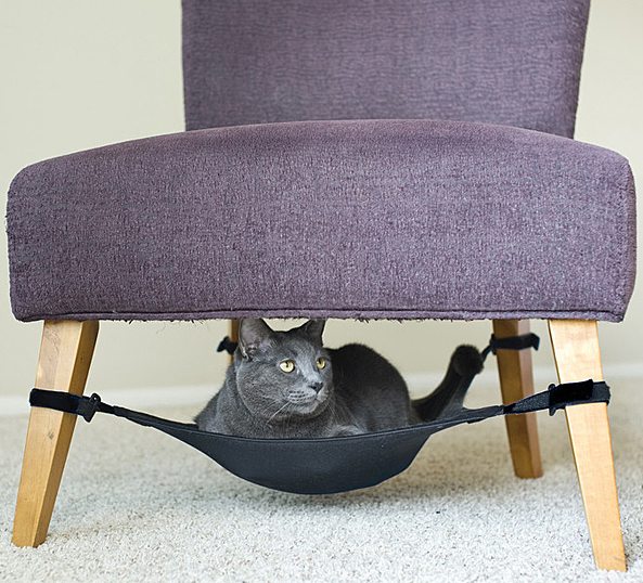 cat hammock