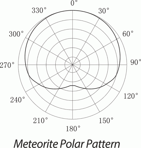 Samson-Meteorite-Mic-info