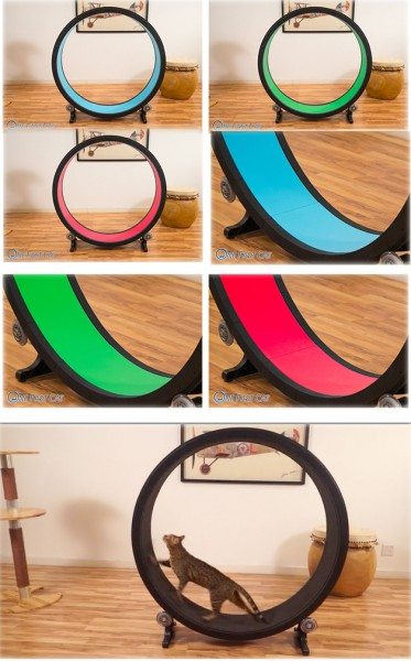 Fat cat best sale exercise wheel