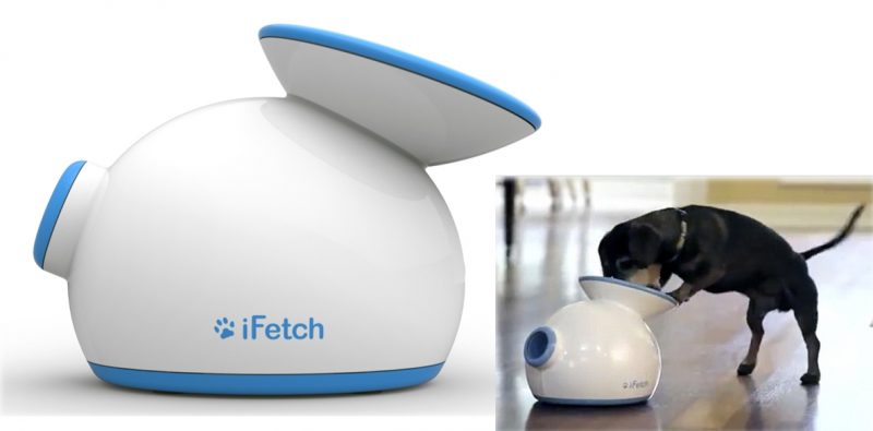 Your dog can play fetch by himself with the iFetch - The Gadgeteer