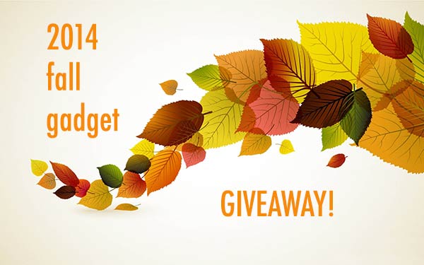 fallgiveaway