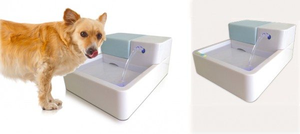 naturespa-uv-fountain-for-small-dogs-1
