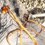 Pump Audio earphones review