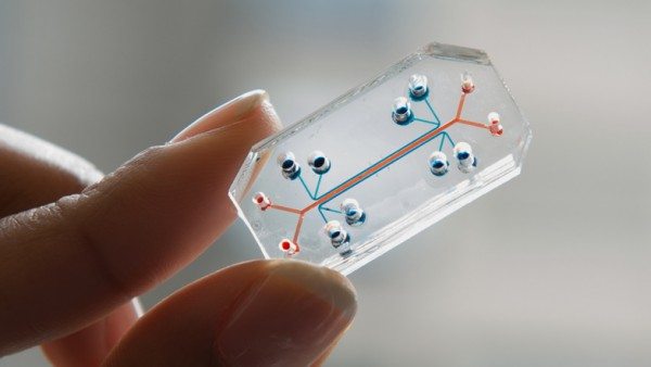 Organs on Chips 1